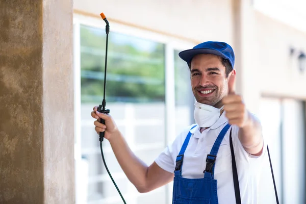 Bedford Wasp Removal