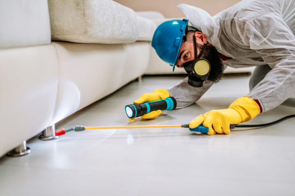 Bedford Termite Control